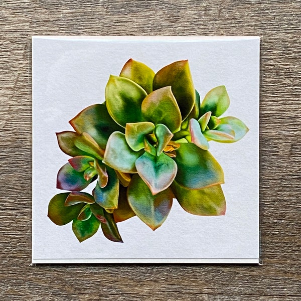 Mini Art Print, 4x4 Succulent Art Print, Succulent Decor, Gift for Texan, Plant Decor, Plant Art Print, Gift for Plant Lover, Green Thumb