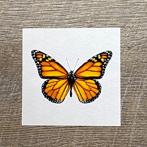 Mini Art Print, 4x4 Monarch Butterfly Art Print, Spring Decoration, Home Decor, Spring Wall Decor, Wall Hangings, Texas Milkweed Butterfly