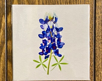 Mini Art Print, 4x4 Bluebonnet Art Print, Texas Art Print, Gift for Texan, Spring Wildflower Decor, Lupine Art Print, Texas Flower Print