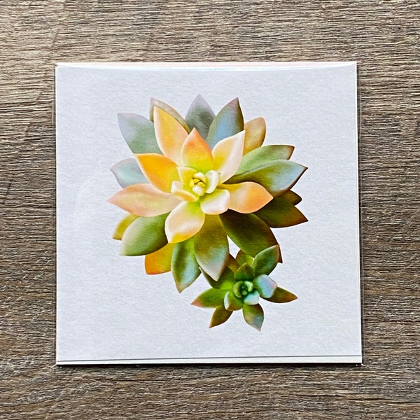 Mini Art Print, 4x4 Succulent Art Print, Succulent Decor, Gift for Texan, Plant Decor, Plant Art Print, Gift for Plant Lover, Green Thumb