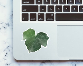 Green Ivy Leaf Sticker, Weatherproof Vinyl Sticker for Laptop, Sticker for Water Bottle, English Ivy Plant, Gift for Plant Lover