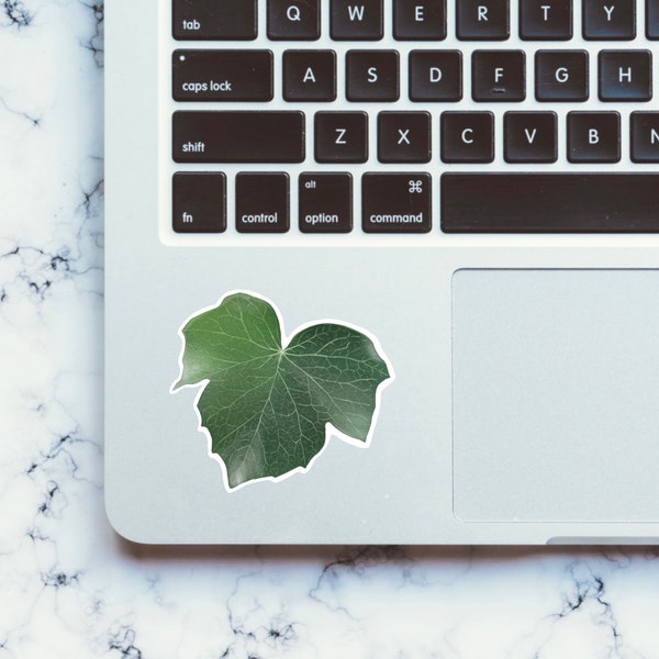 Green Ivy Leaf Sticker, Weatherproof Vinyl Sticker for Laptop, Sticker for Water Bottle, English Ivy Plant, Gift for Plant Lover
