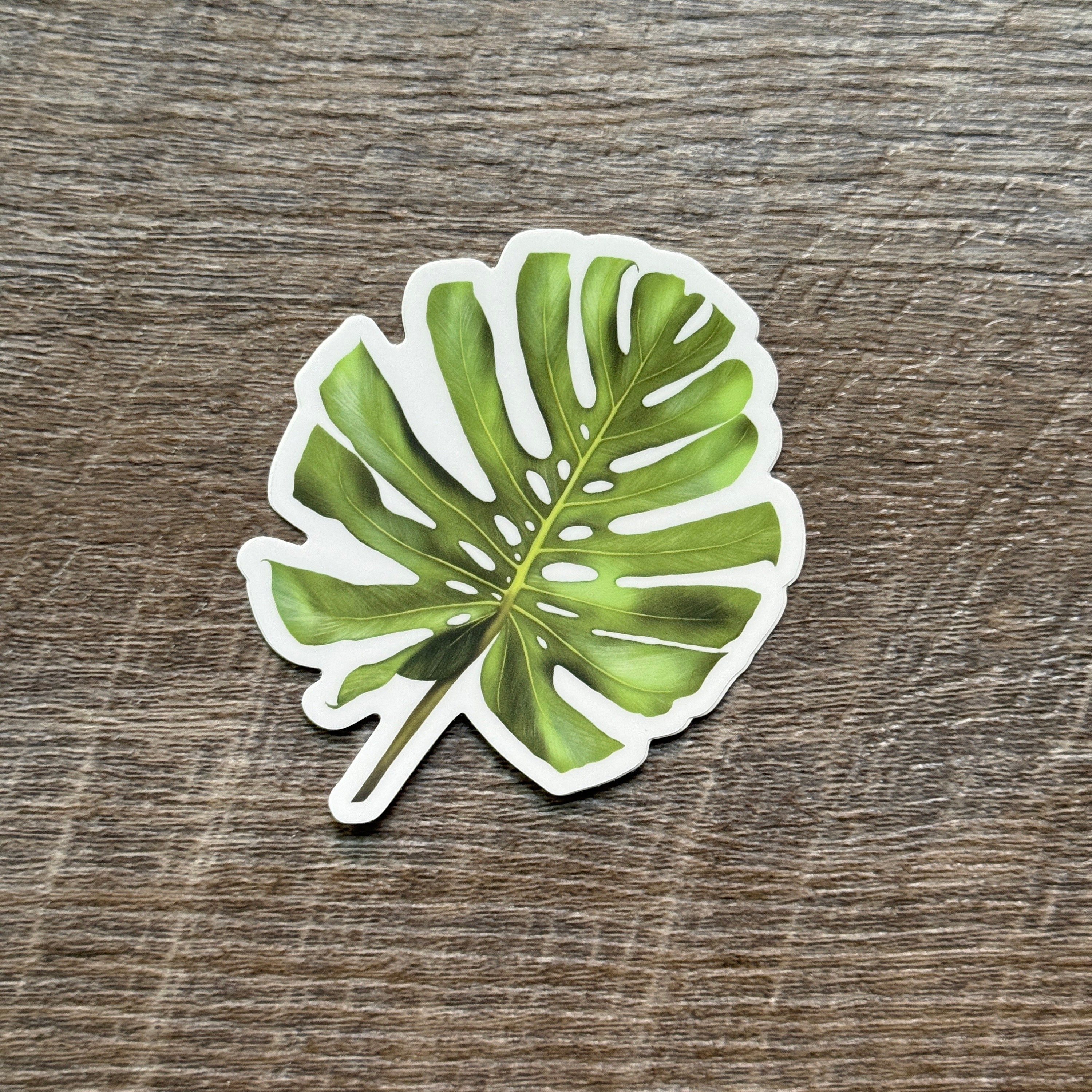 Monstera Sticker, Vinyl Sticker for Laptop, Sticker for Water Bottle ...