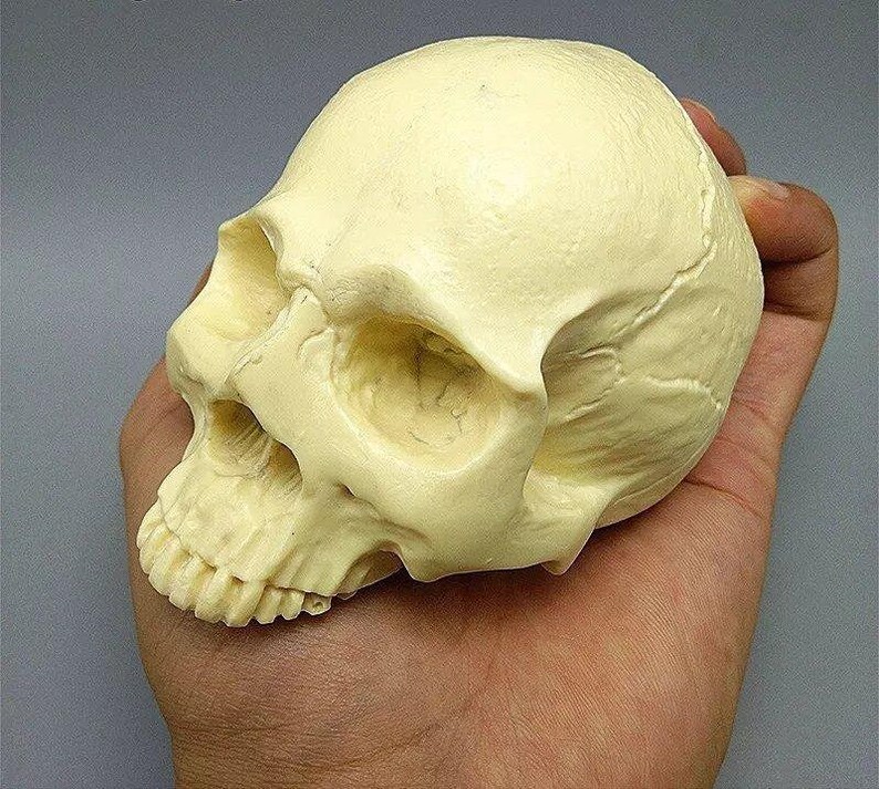 Silicone Mold Human Skull Head Halloween Cake Decorating Tools DIY Skull Candle Chocolate Gypsum Silicone Mold