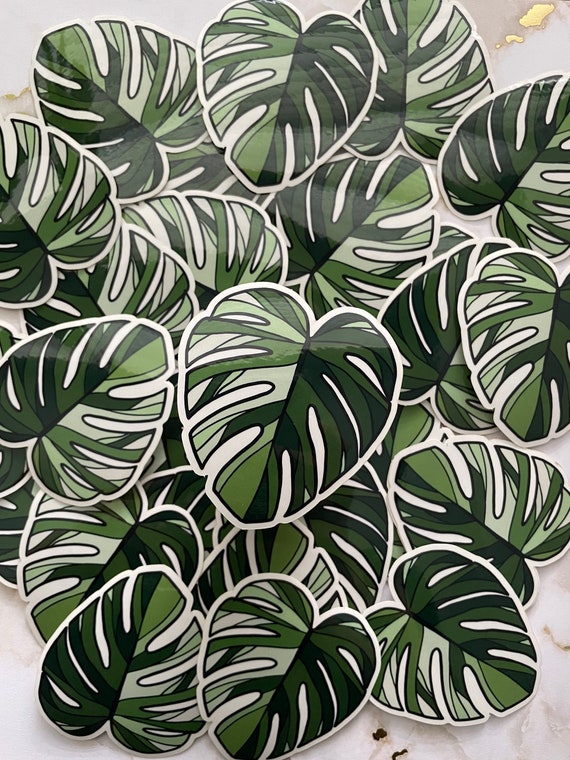 Variegated Monstera Sticker | Monstera Sticker Sticker | Die-cut Sticker |  Vinyl Sticker | Plant Sticker - Etsy