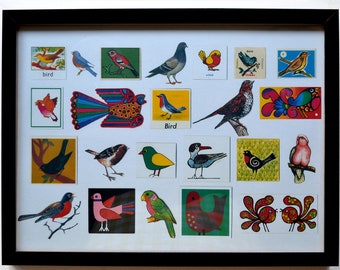 Limited Edition Bird Collection Print -- Original, Vintage-Themed, Unframed