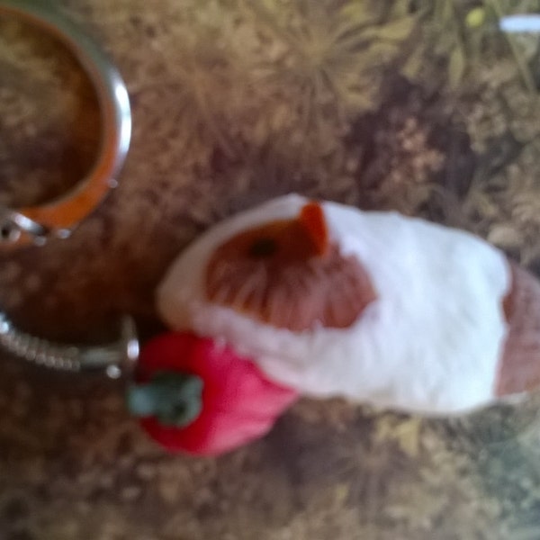 Cochon d