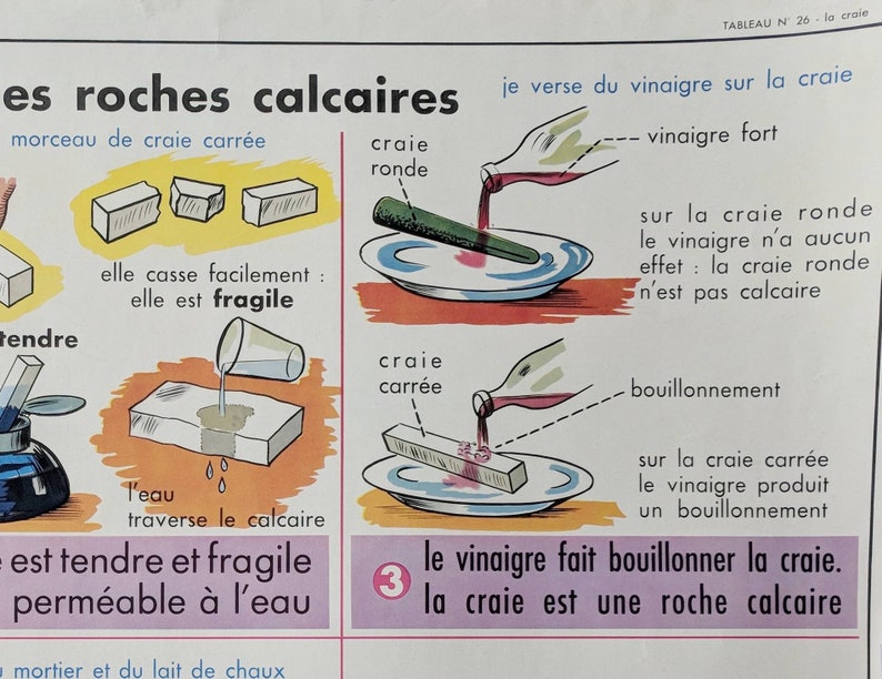 French Vintage Educational Poster With Scientific Illustration Home Decor Home Living Vadel Com