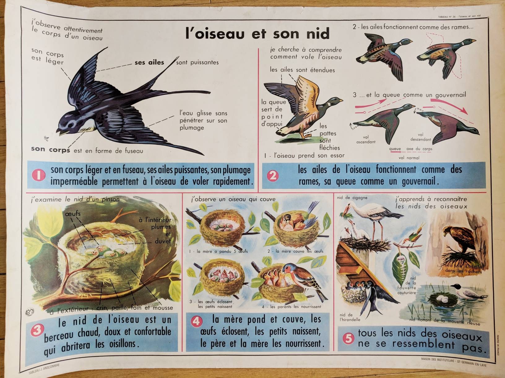 Vintage French School Poster With Bird Wall Art Print