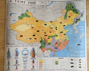Vintage French Map of China and Russia, With Amazing Animal Illustrations