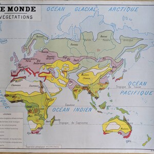 May include: A vintage world map titled "Le Monde Végétations" in French, depicting global vegetation zones. The map uses a color-coded system to represent different biomes, including forests, grasslands, and deserts. The map is a vintage educational poster.