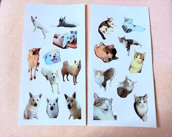 Gepersonaliseerde en bedrukte huisdierstickers
