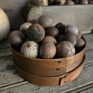 May include: A wooden bowl filled with various brown, round objects. The objects have different textures and shades, ranging from light tan to dark brown. The bowl is made of light brown wood and sits on a weathered wooden surface.