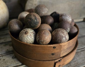 Cellar fruit scent optional