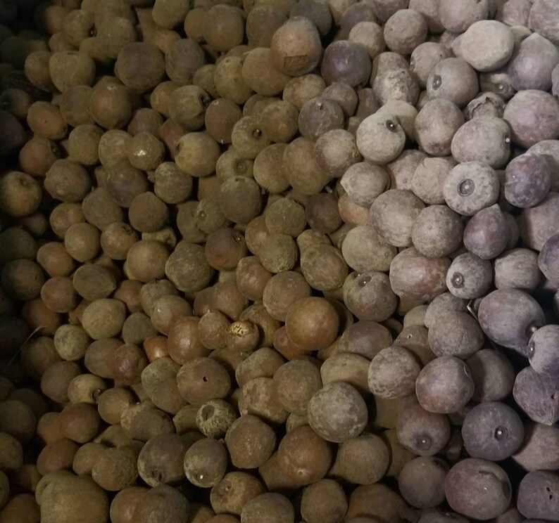 Pantry apples dried botanical bowl filler primitive farmhouse Baskets