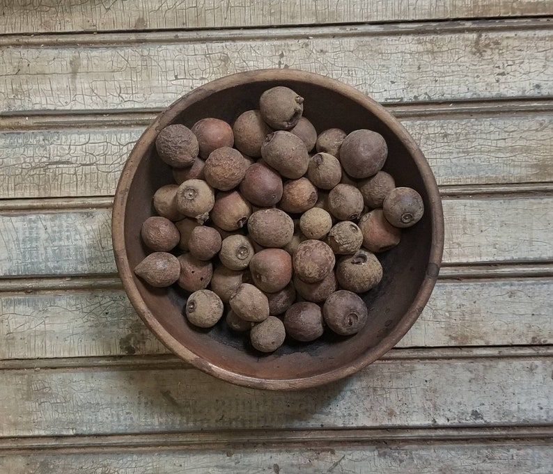 Pantry apples dried botanical bowl filler primitive farmhouse Baskets