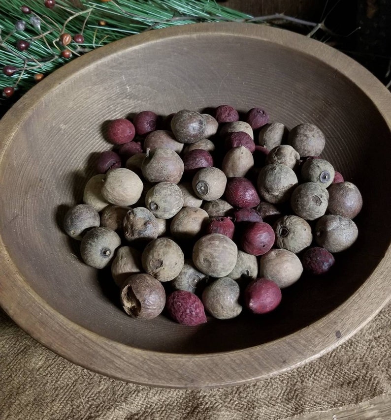 Natural and Red Pantry Apples Primitive Botanical Etsy