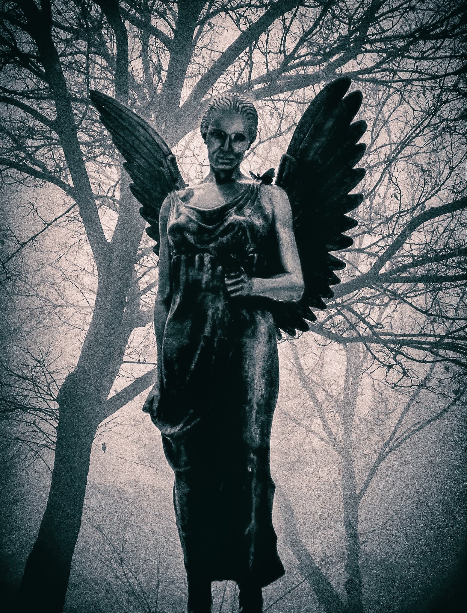 Emergence Angel Statue Angel in the Fog Angel Wings Black - Etsy