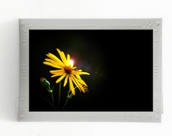 Flower Photo Note Cards, Fine Art Greeting Card Set