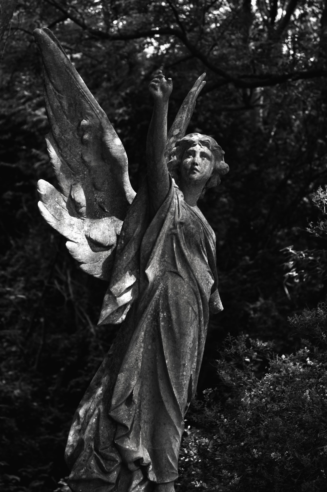 Angel Statue Victorian Black and White Photography Lovely Etsy