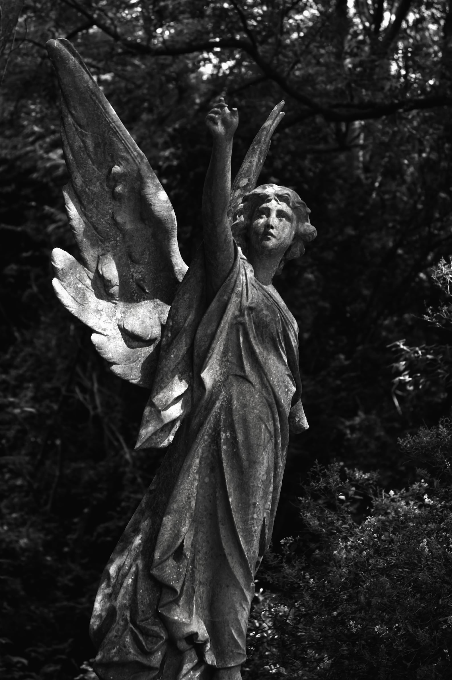 Angel Statue Victorian Black and White Photography Lovely - Etsy