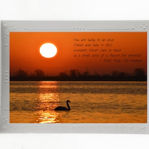 Fine Art Blank Note Cards; Set of 3 Any Occasion Cards; Inspirational Quotes; Mounted Art Photos; Custom Orders Available