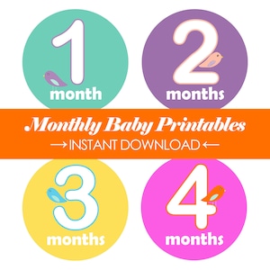 Monthly Baby Stickers Printable - Baby First Year - Monthly Milestones - DIY - Baby Shower Gift - Baby Boy Girl - Instant Digital Download