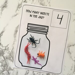 May include: A black and white illustration of a jar with four insects inside. The insects are a black beetle, a red centipede, a purple lizard, and an orange beetle. The text "HOW MANY INSECTS IN THE JAR?" is above the jar and the number "4" is written in a box to the right of the jar.