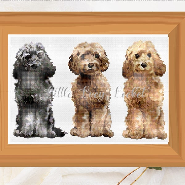 Cockapoo Chart Etsy UK