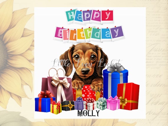 Cane di buon compleanno fotografia stock. Immagine di carino - 61372850