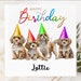 see more listings in the AMOUREUX DES CHIENS POUR L'ANNIVERSAIRE section