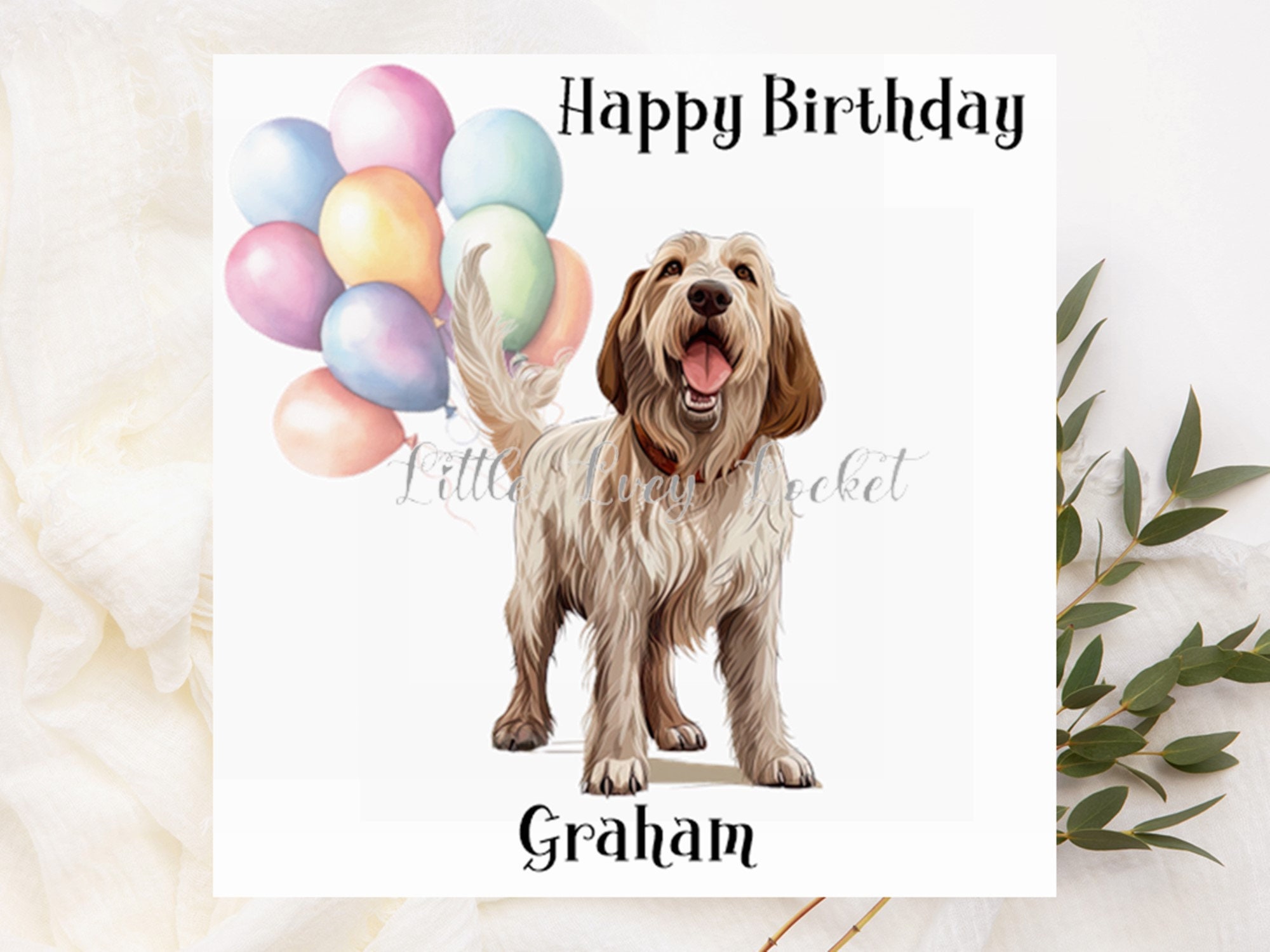 Piccadilly Greetings Biglietto di auguri di compleanno con simpatico cane maltese – 20,3 x 15,2 cm
