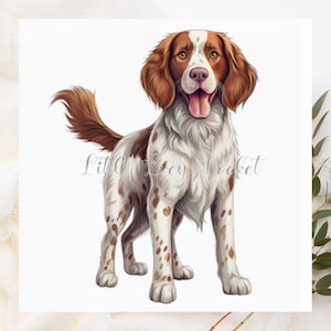 WELSH SPRINGER SPANIEL-Cualquier ocasión-Tarjeta en blanco-Cumpleaños-Mejórate-Pensando en ti-Tarjeta de nota-Amante de los perros-Tarjeta en blanco de WELSH SPRINGER SPANIE-Perro