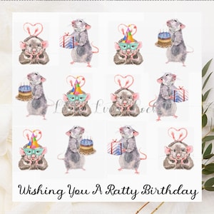 Carte d'anniversaire rat - Je vous souhaite un anniversaire miteux - Arrangement multiple de rats - Anniversaire rats - Carte d'anniversaire rongeur - Carte d'anniversaire rat au design unique