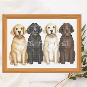 May include: Four Labrador Retriever dogs sitting in a row. The dogs are in different colors: yellow, black, white, and chocolate brown. The dogs are all looking at the camera.