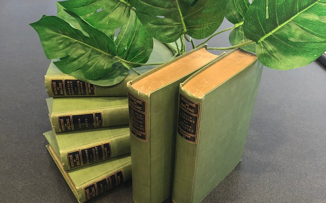 Antique 6 Honoré De Balzac Books French Novelist Set of 6 Books 1910s