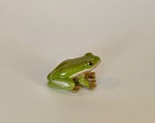 Hand-Painted Miniature Green Tree Frog Porcelain Figurine 25028
