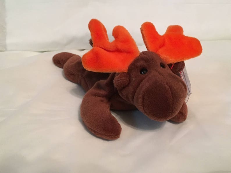 moose ty beanie baby