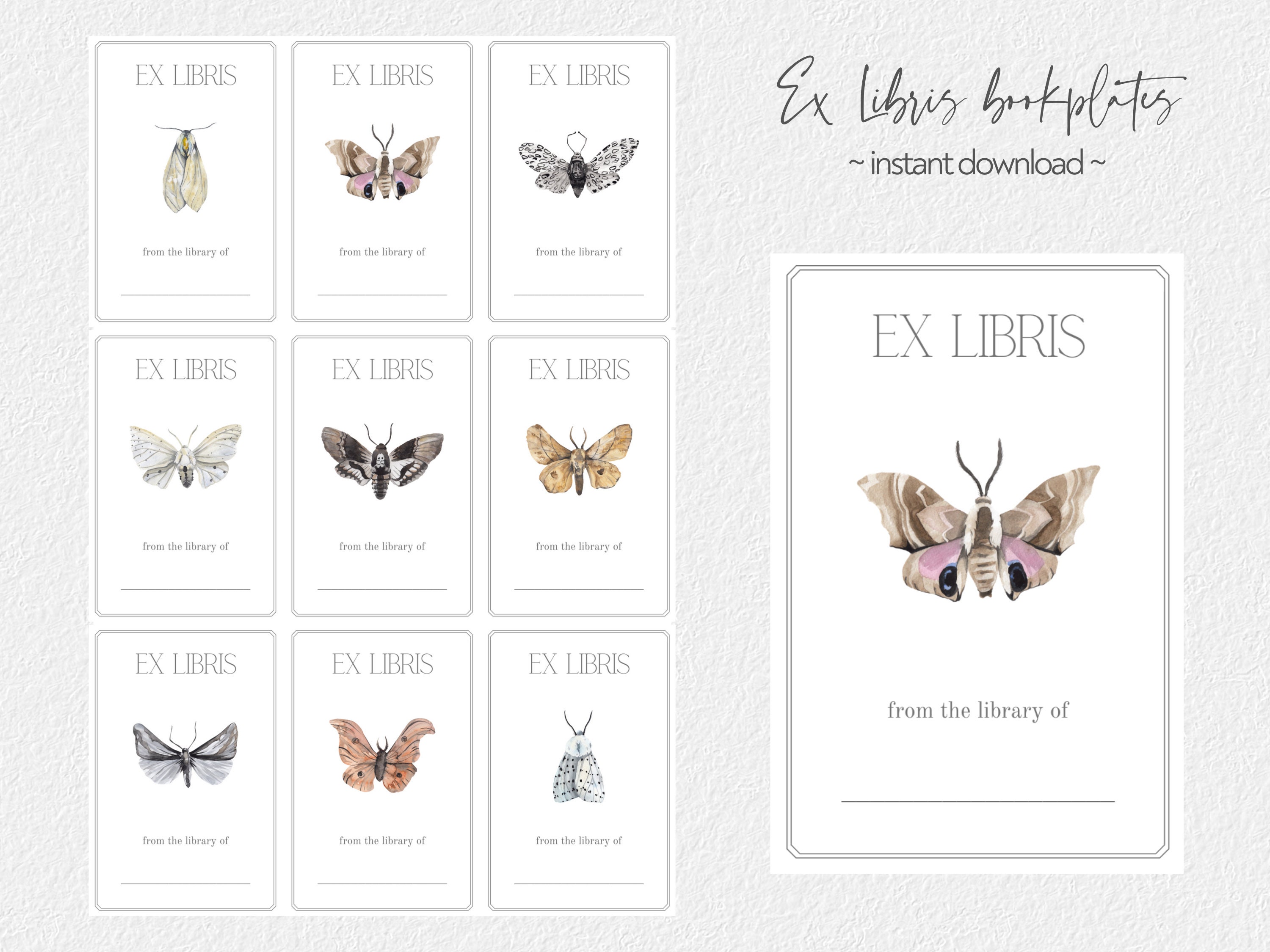 Printable Ex Libris bookplates / easy instant download / - Etsy España