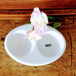Industrial Porcelain Salt Bowl marked NaCl~Vintage White Porcelain Ceramic Salt container Laboratory Ceramic~JewelsandMetals.