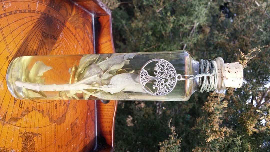 Sage Goddess Oil, Sage Oil, Sage Body Oil, Dalmatian Sage, Salvia ...