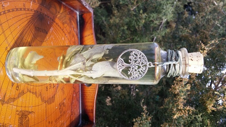 Sage Goddess Oil, Sage Oil, Sage Body Oil, Dalmatian Sage, Salvia officinalis, Sage Bath Body Oil, Sacred Sage, Sage Perfume Oil, Cleansing image 4