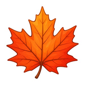 May include: A vibrant orange and red maple leaf illustration featuring a symmetrical five-lobed shape with pointed tips and a central brown stem. The leaf displays detailed dark red veins radiating from the base to each point, creating a clear botanical graphic design.