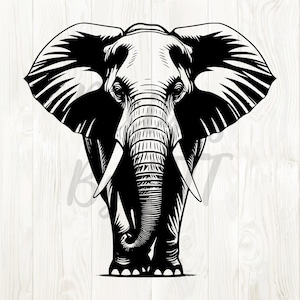 May include: A monochrome illustration of an elephant, depicted head-on. The elephant's large ears, tusks, and trunk are detailed. The image is a graphic design, highlighting the animal's features.