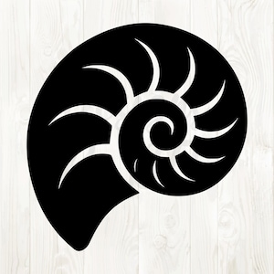 Könnte beinhalten: Schwarz-weiße Illustration einer Nautilus-Schale. Die Schale ist in einem stilisierten, grafischen Design mit einem Spiralmuster dargestellt. Der Hintergrund ist eine helle Holzmaserung.