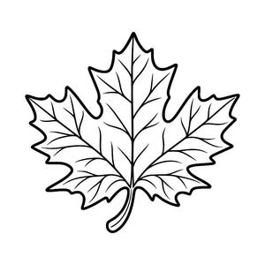 May include: A black and white line drawing of a maple leaf. The illustration features a central stem and symmetrical veins branching out to the five distinct lobes of the leaf, all outlined with a bold, clean black stroke on a white background.