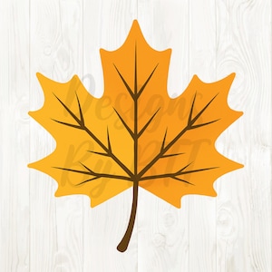 May include: A stylized illustration of a golden-yellow maple leaf with brown veins and stem. The leaf has a classic shape, perfect for fall-themed designs. The background is a white wood grain.