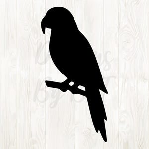 parrot design svg png, parrot svg, parrot png, parrot digital files, parrot clipart, parrot vector, parrot digital download, parrot image