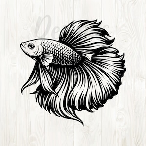 Pode incluir: Ilustração a preto e branco de um peixe Betta, também conhecido como peixe-lutador siamês. O peixe é retratado em perfil, mostrando as suas barbatanas fluidas e escamas detalhadas. O fundo é um padrão de grão de madeira clara.