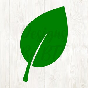 Può includere: Illustrazione di una foglia verde brillante con una venatura bianca, su sfondo di venature del legno bianche. Il testo "Designs By BT" è visibile. Adatto per design a tema natura.